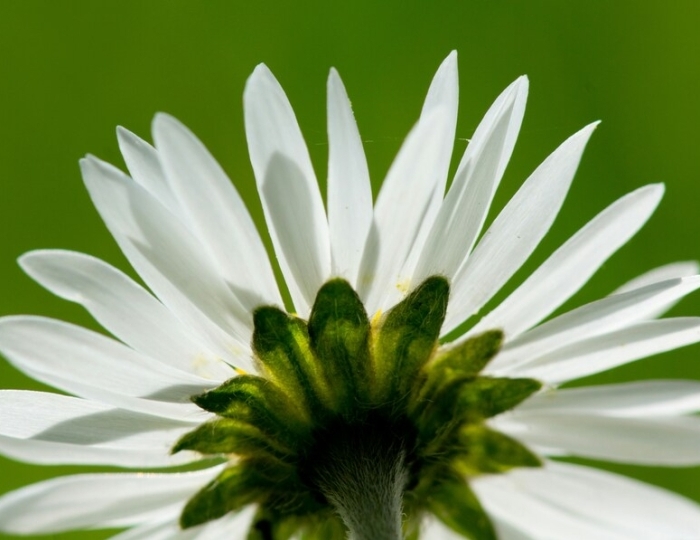 «Антистресс оздоровление» за 7 дней - Санаторий «Загорские Дали»