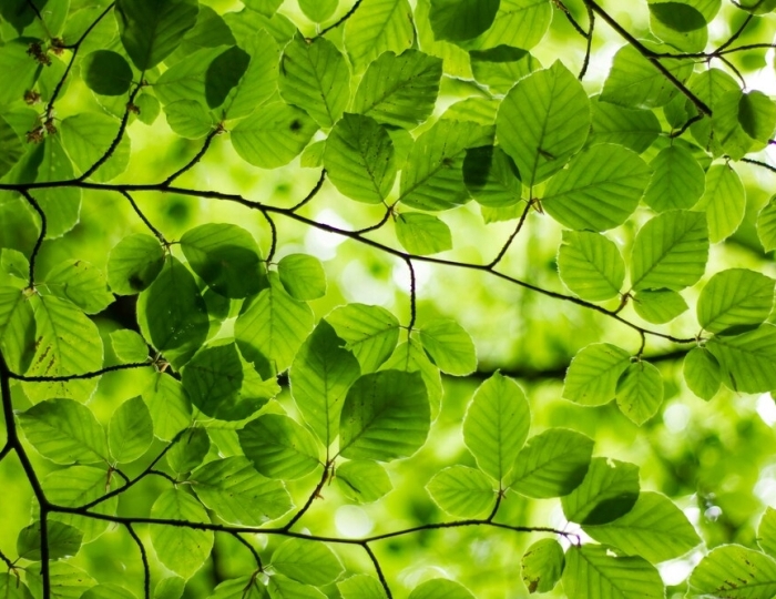 NEW! УРОЛОГИЯ - Санаторий «Загорские Дали»