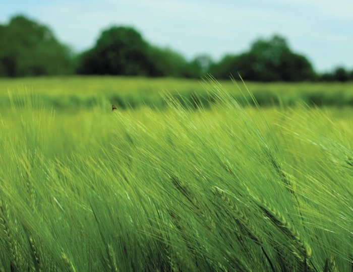 Реабилитация после коронавирусной инфекции COVID-19 - Санаторий «Загорские Дали»