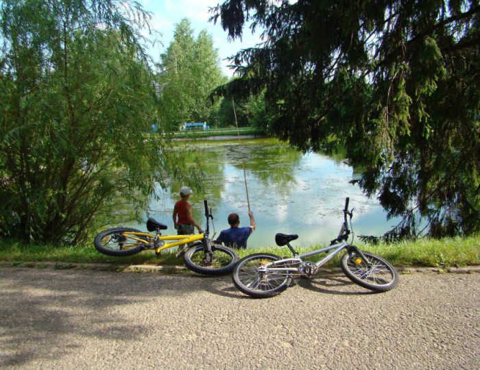 Услуги, развлечения и спорт - Санаторий «Загорские Дали»