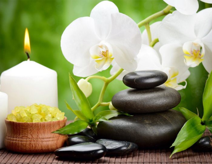 SPA - капсула Dermalife Spa Jet Vichi - Санаторий «Загорские Дали»