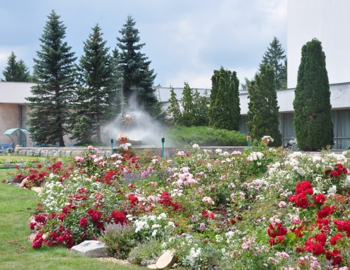 Контакты - Санаторий «Загорские Дали» Контакты - Санаторий «Загорские Дали»