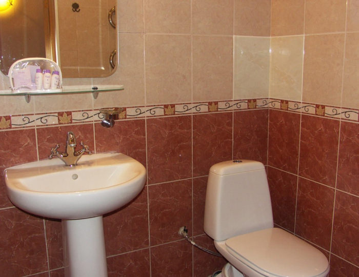 Одноместный номер «Стандарт» - Санаторий «Загорские Дали»